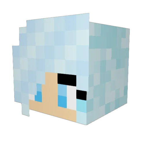 DiddiTroika Minecraft avatar head, 3D render