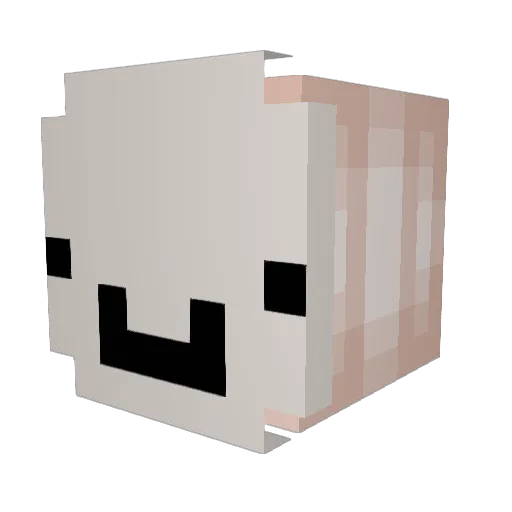 DidditzHD Minecraft avatar head, 3D render