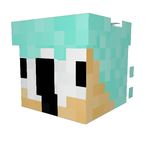 DiddleSkittle Minecraft avatar head, 3D render