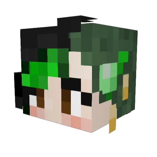 Diddles3 Minecraft avatar head, 3D render