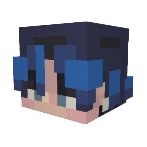 DiddlyRain Minecraft avatar head, 3D render