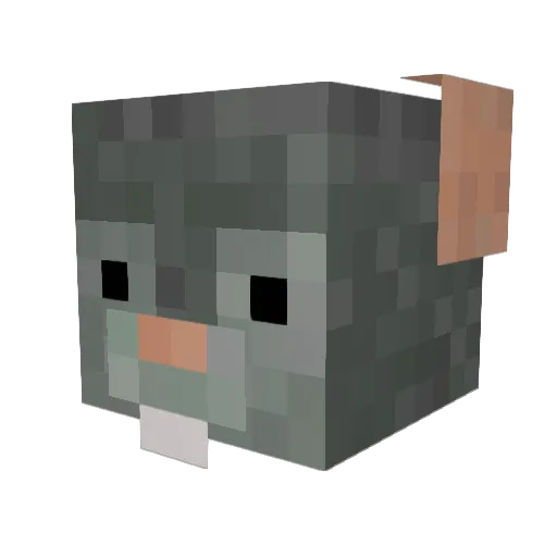Diddly_Duck Minecraft avatar head, 3D render