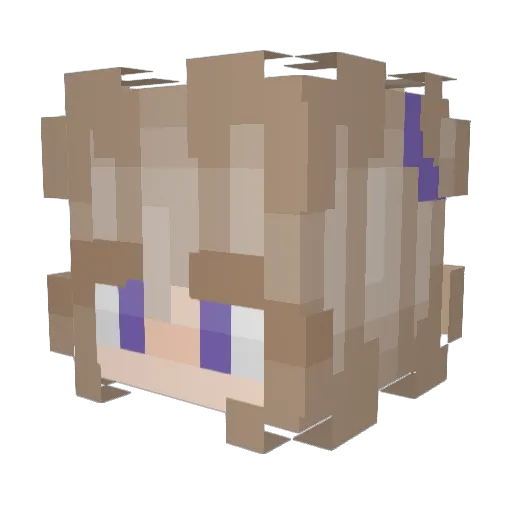 Diddlysquatt1222 Minecraft avatar head, 3D render