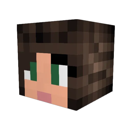 Diddy64 Minecraft avatar head, 3D render