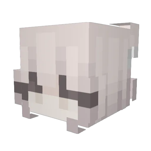 DiddyKamal Minecraft avatar head, 3D render