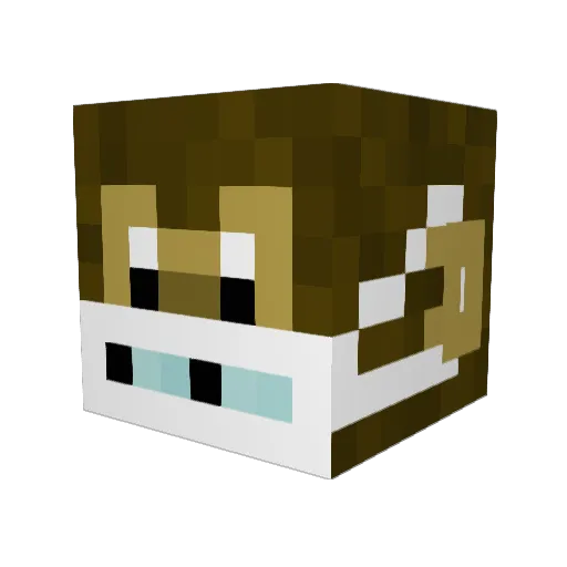 DiddyQueen Minecraft avatar head, 3D render