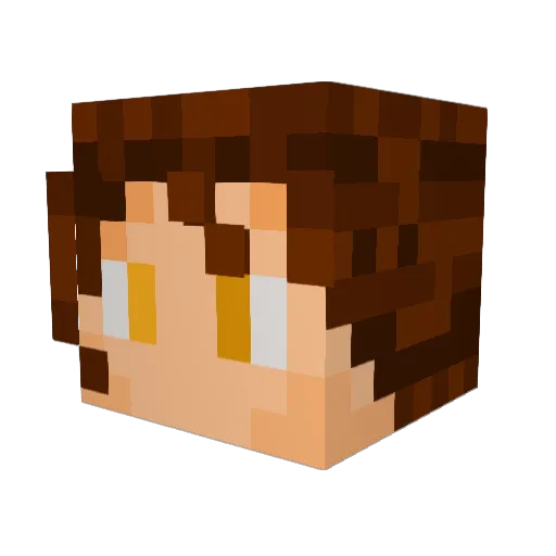 DiddyWilly Minecraft avatar head, 3D render
