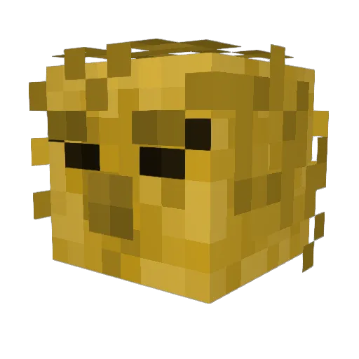 Diddy_Wise Minecraft avatar head, 3D render