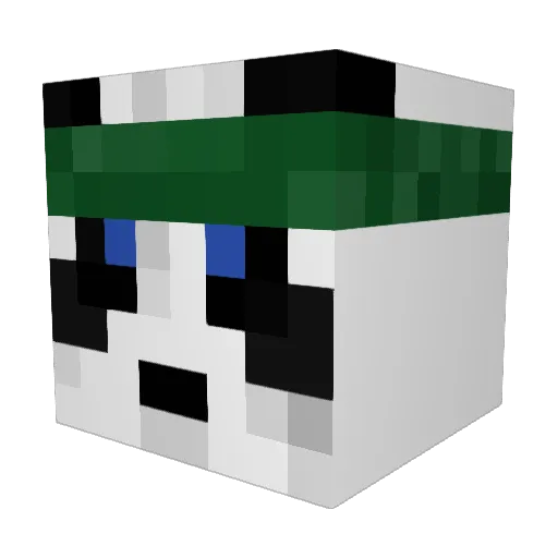 Diddydab Minecraft avatar head, 3D render