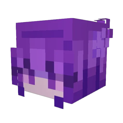 Diddydodaa Minecraft avatar head, 3D render