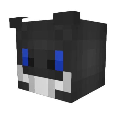 DiddysRoom Minecraft avatar head, 3D render