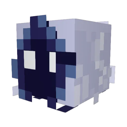 Diddytech Minecraft avatar head, 3D render