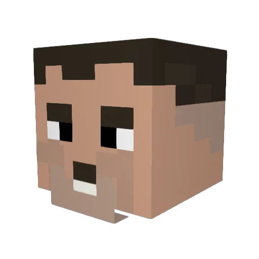 Diddywanger Minecraft avatar head, 3D render