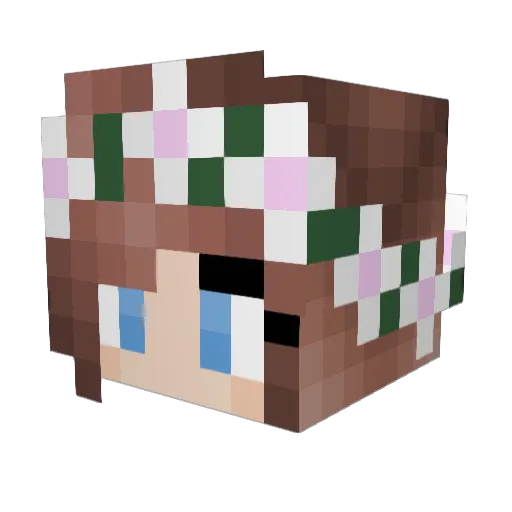 Didi4 Minecraft avatar head, 3D render