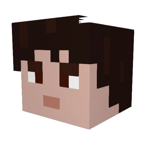 Didi9315 Minecraft avatar head, 3D render