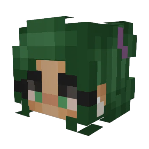 Didi_Didi_ Minecraft avatar head, 3D render