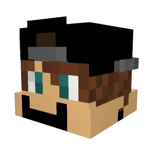 Didi_Plays Minecraft avatar head, 3D render