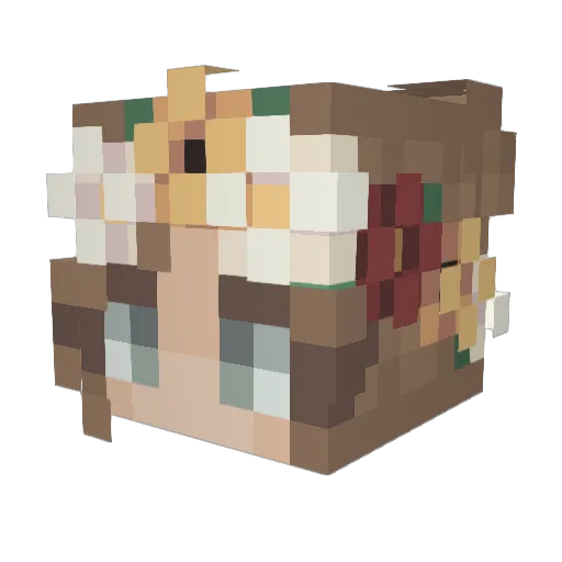 Dididiona Minecraft avatar head, 3D render