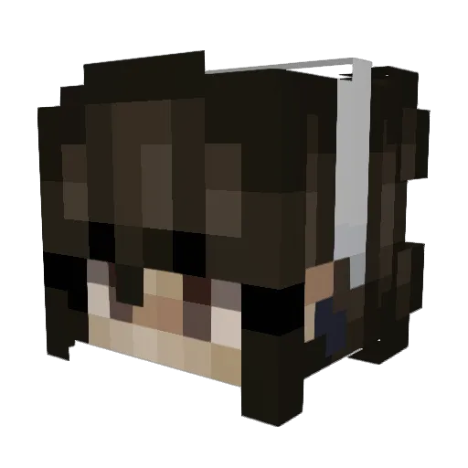 Didiiii1 Minecraft avatar head, 3D render