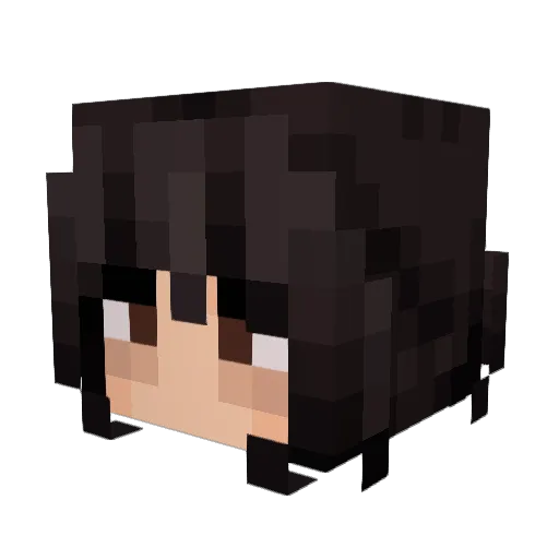 Didindaden Minecraft avatar head, 3D render