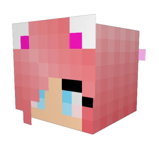 Didistar Minecraft avatar head, 3D render