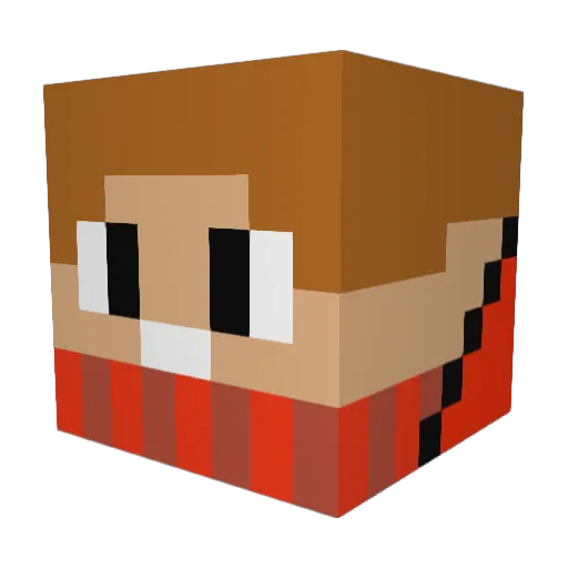 Didium_ Minecraft avatar head, 3D render