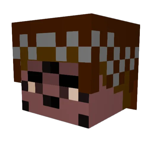 Didlerson699 Minecraft avatar head, 3D render