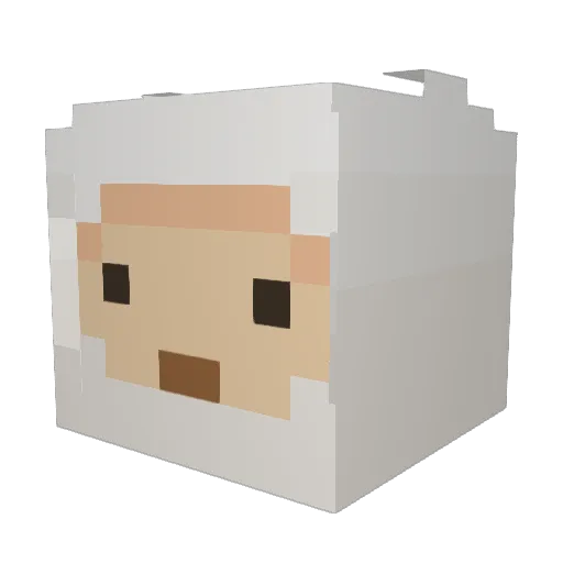 DidntHearYa Minecraft avatar head, 3D render