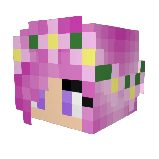 DidoSquarepants Minecraft avatar head, 3D render