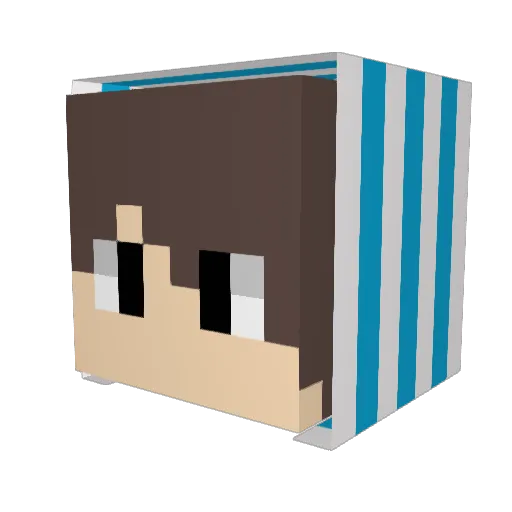 DidouSandy Minecraft avatar head, 3D render