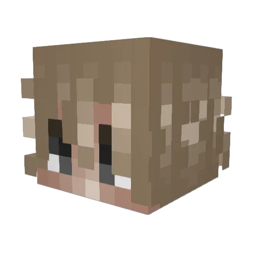 Didrane Minecraft avatar head, 3D render