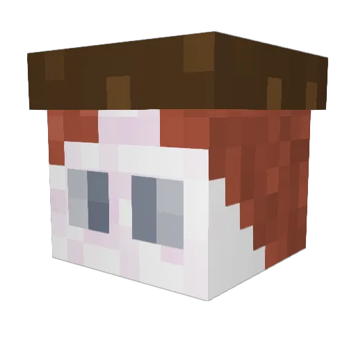 Didsan Minecraft avatar head, 3D render
