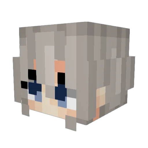 Didtron Minecraft avatar head, 3D render