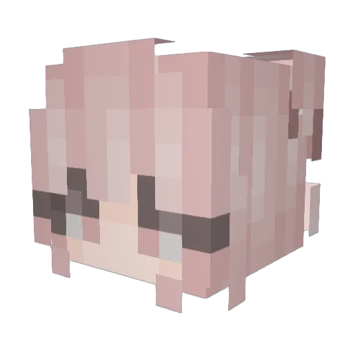 Didymous Minecraft avatar head, 3D render