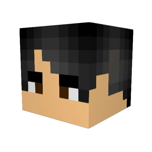 DidzPlays Minecraft avatar head, 3D render