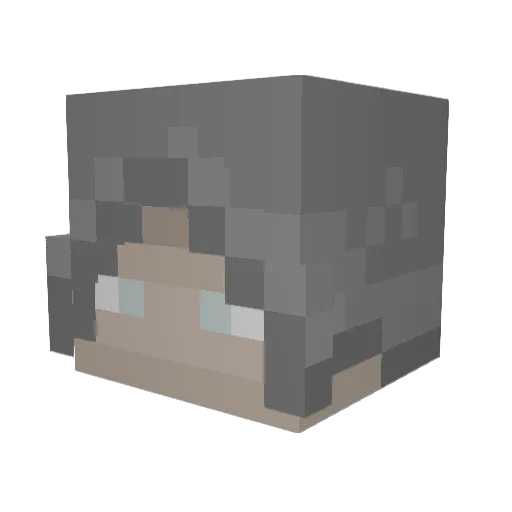 Didzis100 Minecraft avatar head, 3D render
