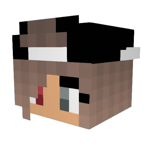 DieDunkleDana Minecraft avatar head, 3D render
