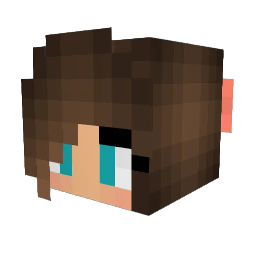 DieEllen Minecraft avatar head, 3D render