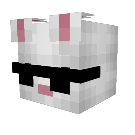 DieGegnerin Minecraft avatar head, 3D render