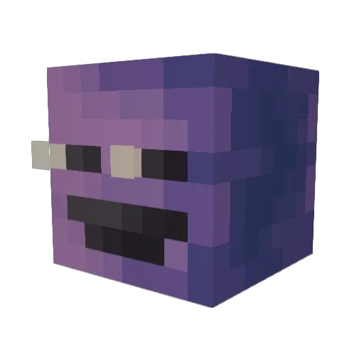 DieIdiotMan Minecraft avatar head, 3D render