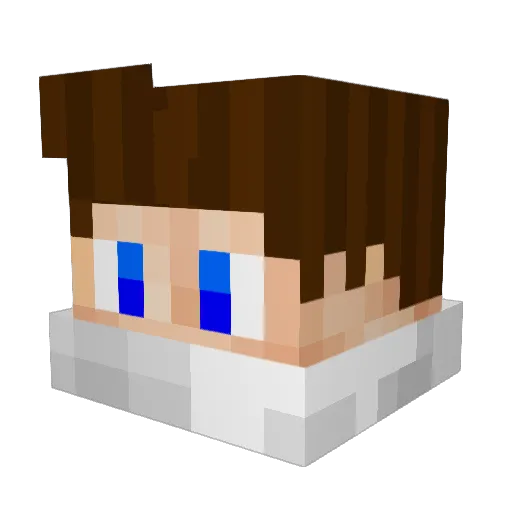 DieKalorienBombe Minecraft avatar head, 3D render