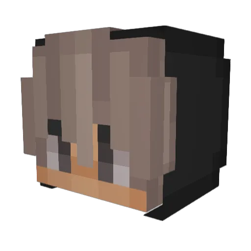 DiePfandflasche Minecraft avatar head, 3D render