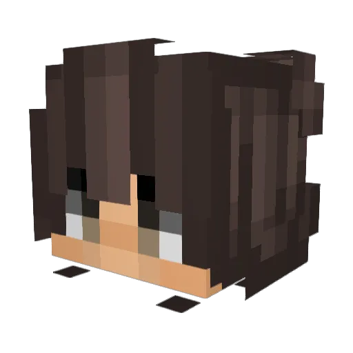 DiePizzaMagDich Minecraft avatar head, 3D render
