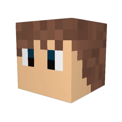 DieSuppe2_0 Minecraft avatar head, 3D render