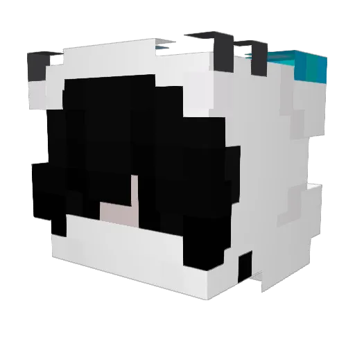 DieVasa Minecraft avatar head, 3D render