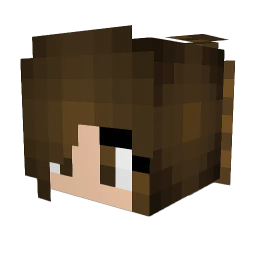 DieWahre Minecraft avatar head, 3D render