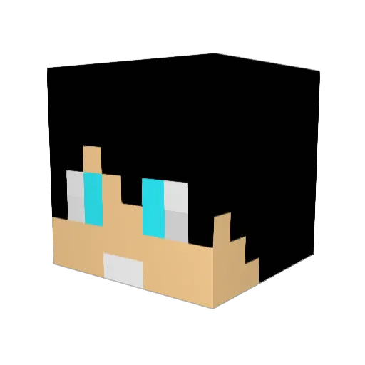 DieZz1234 Minecraft avatar head, 3D render