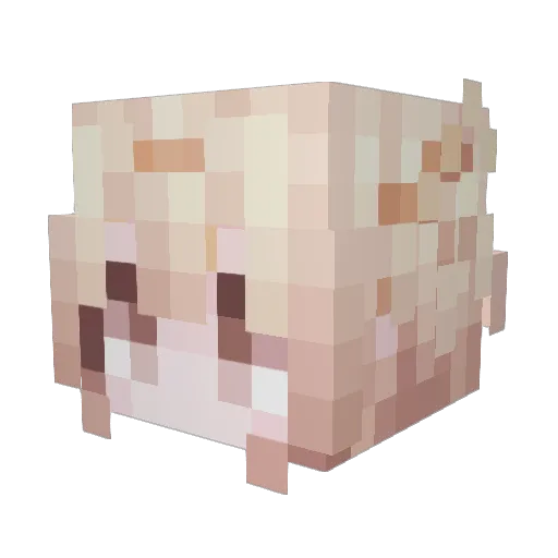 Die_Sterne Minecraft avatar head, 3D render