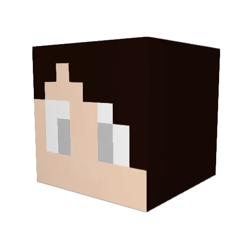 Die_Vertretung Minecraft avatar head, 3D render