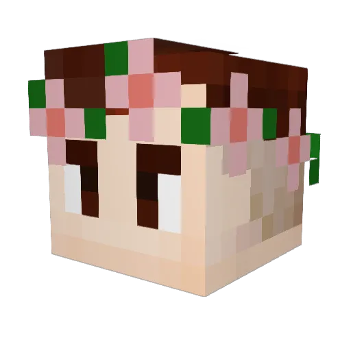 Die_Volstruis Minecraft avatar head, 3D render